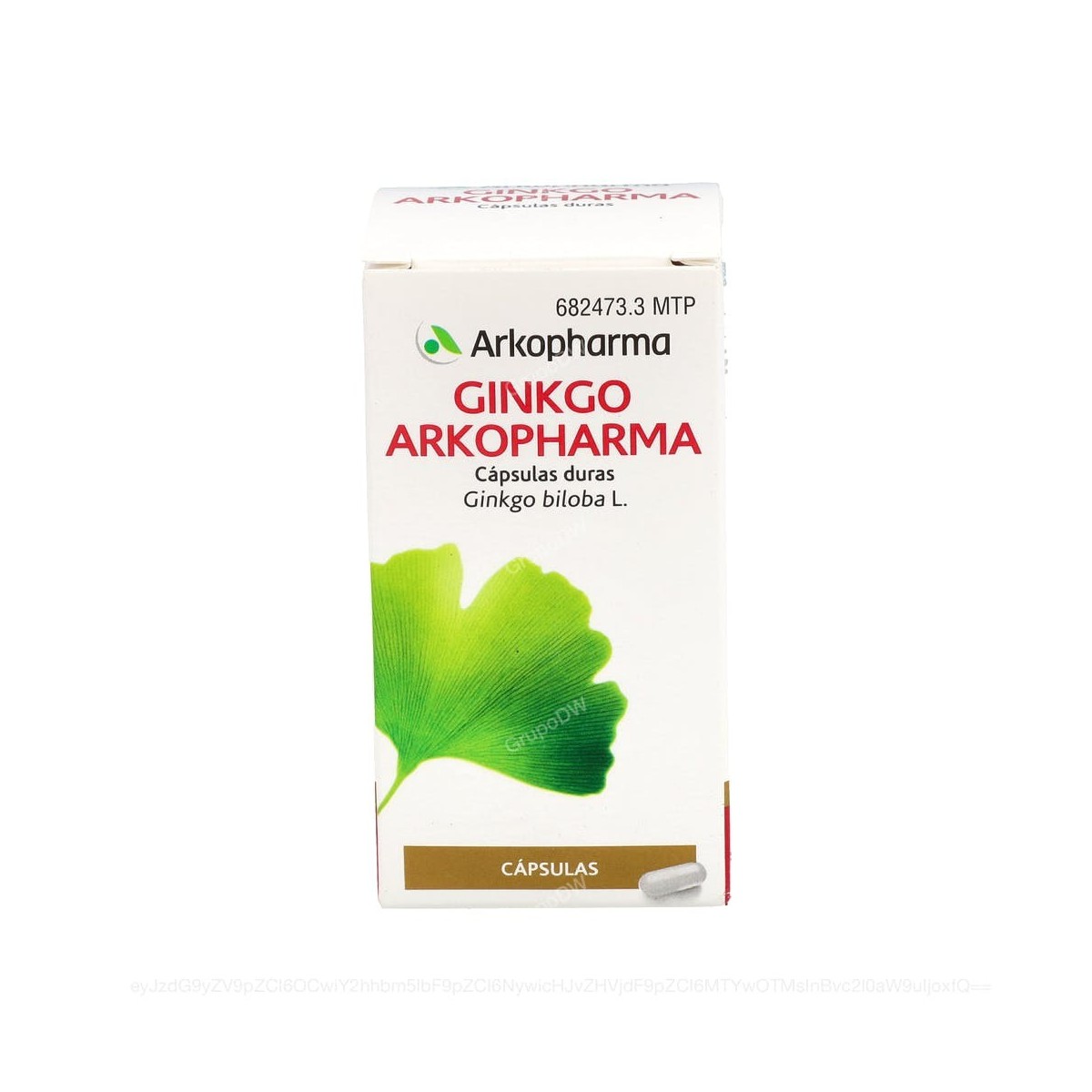 GINKGO ARKOPHARMA CAPSULAS DURAS, 50 capsulas