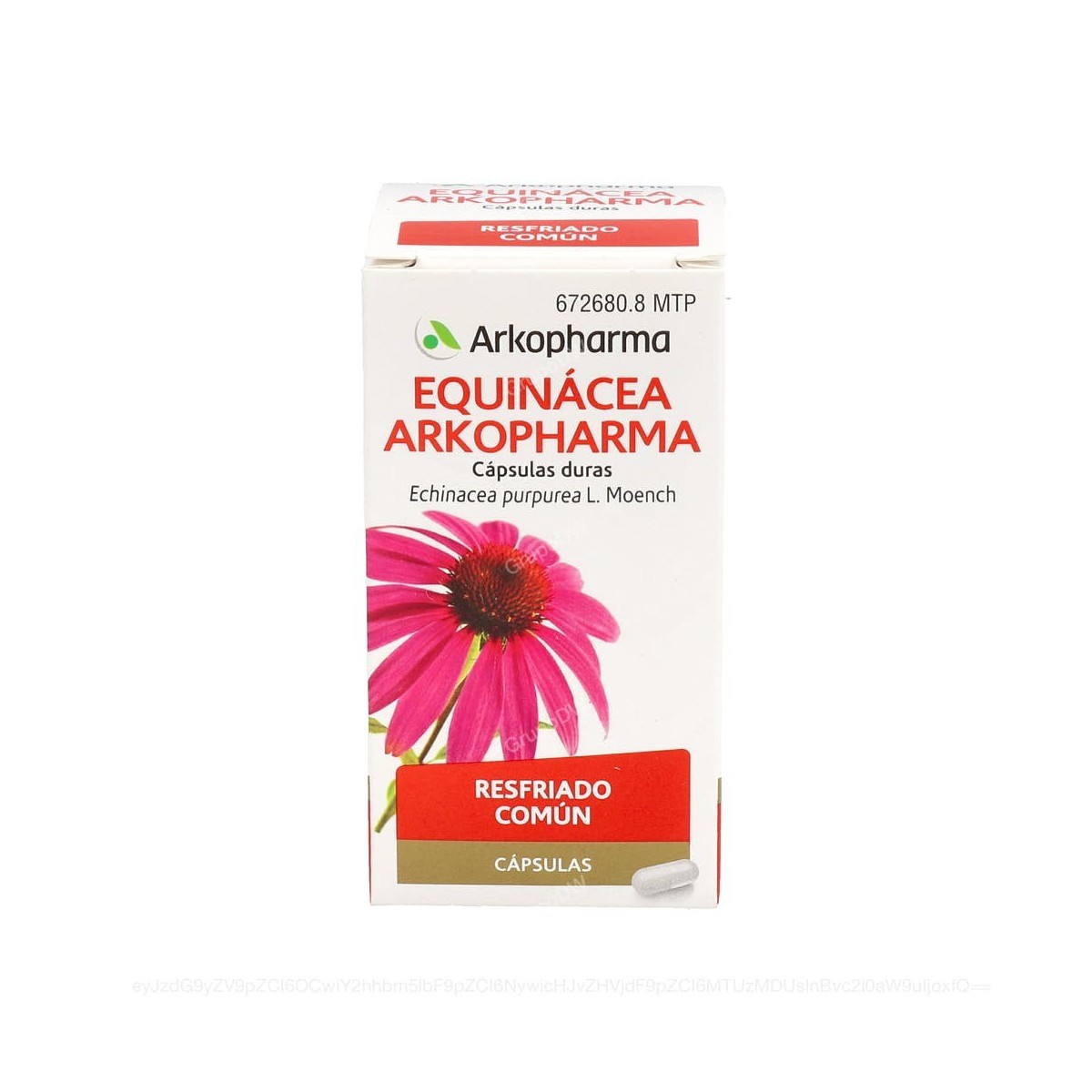 EQUINACEA ARKOPHARMA CAPSULAS DURAS, 50 capsulas
